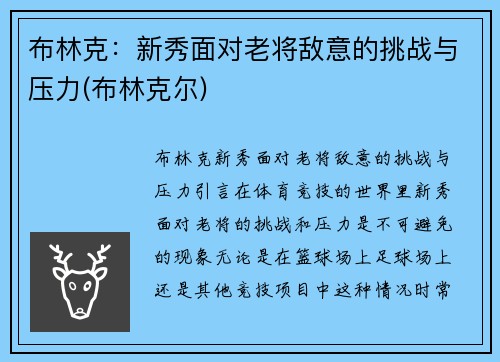 布林克：新秀面对老将敌意的挑战与压力(布林克尔)