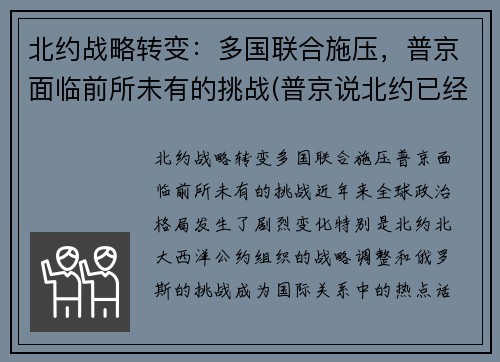 北约战略转变：多国联合施压，普京面临前所未有的挑战(普京说北约已经没有存在的必要了)